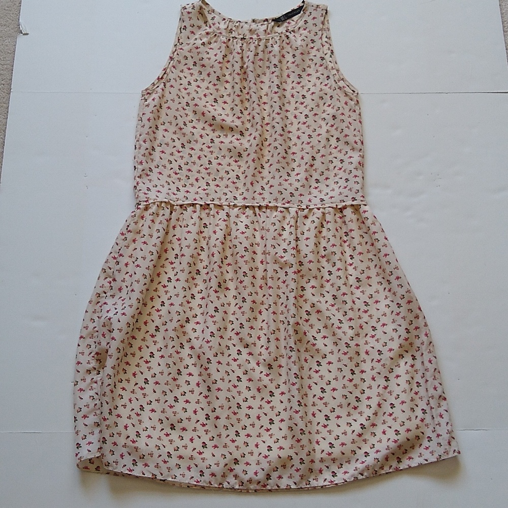 Zara Trafaluc cream pink ditzy floral drop waist mini dress S